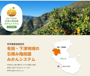 国際連合食糧農業機関から世界農業遺産に認定された
有田・下津地域の石積み階段園みかんシステム！
有田みかんをＪＡタウン「みかんの里 ありだ」ショップで販売