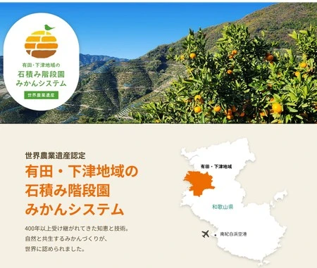 国際連合食糧農業機関から世界農業遺産に認定された
有田・下津地域の石積み階段園みかんシステム!
有田みかんをJAタウン「みかんの里 ありだ」ショップで販売