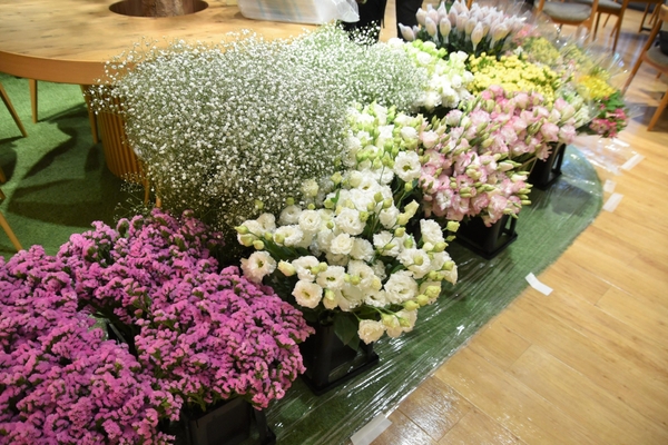 用意された色とりどりの花々