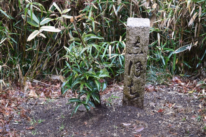 石柱「不知汐路(しらぬしほぢ)」