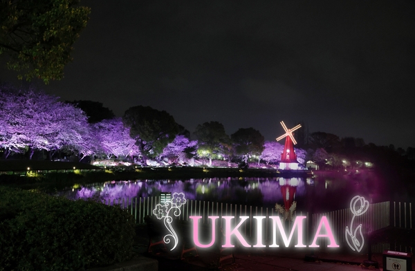 浮間公園ライトアップイメージ