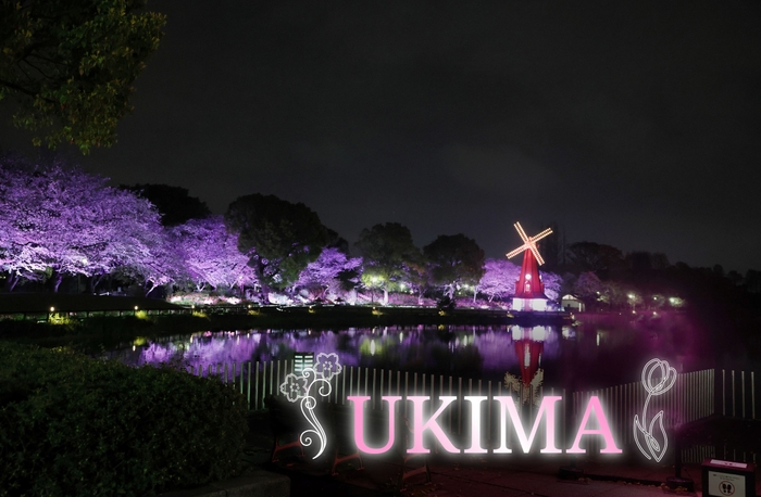 浮間公園ライトアップイメージ