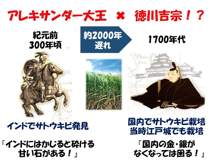 資料抜粋 歴史