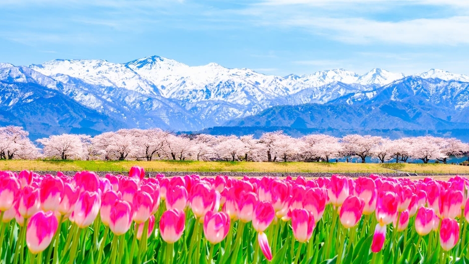 Photo by PIXTA ※画像はイメージです