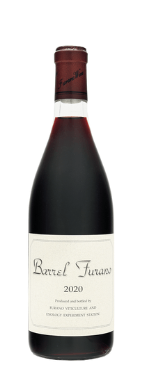 上川（かみかわ）エリア