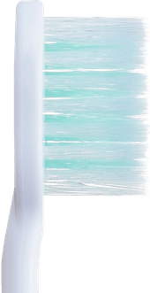 付替システマ側面