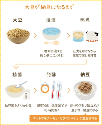 新生活応援！納豆を上手に摂り入れよう　 納豆づくりに欠かせない「納豆菌」のうれしい機能性に注目　 おかめ「納豆サイエンスラボ」WEBサイトで新コラム公開