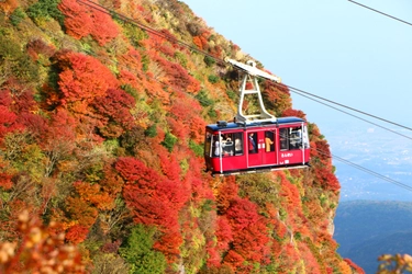 [長崎県]紅葉シーズンの雲仙 仁田峠の渋滞解消のため 「事前予約」「パークアンドライド」の実証実験を実施