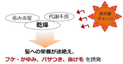 秋から始めたい頭皮ケア！ ダメージヘアにも育毛剤の新常識に関する情報を公開