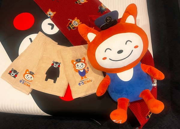 客室備品（タオル）