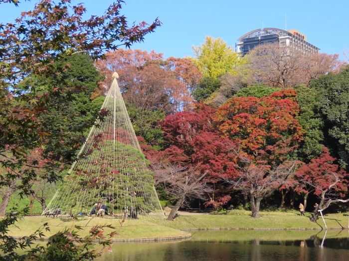 小石川後楽園の様子（11月27日撮影）