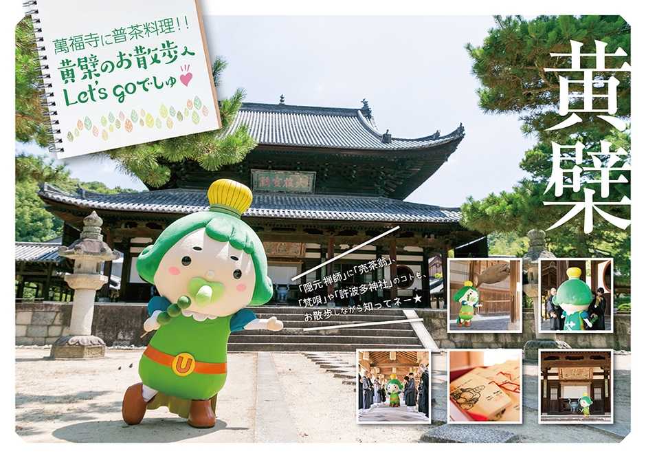 監修本イメージ＿黄檗