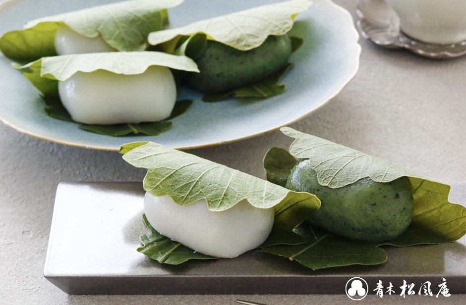 【青木松風庵】2026年4月1日(水)より柏餅の販売開始!