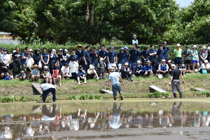 田植えの仕方の説明を聞く