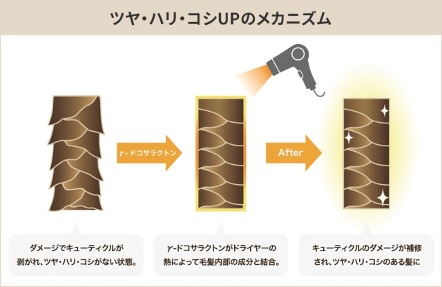キューティクルを補修しツヤUP