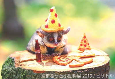展示作品10