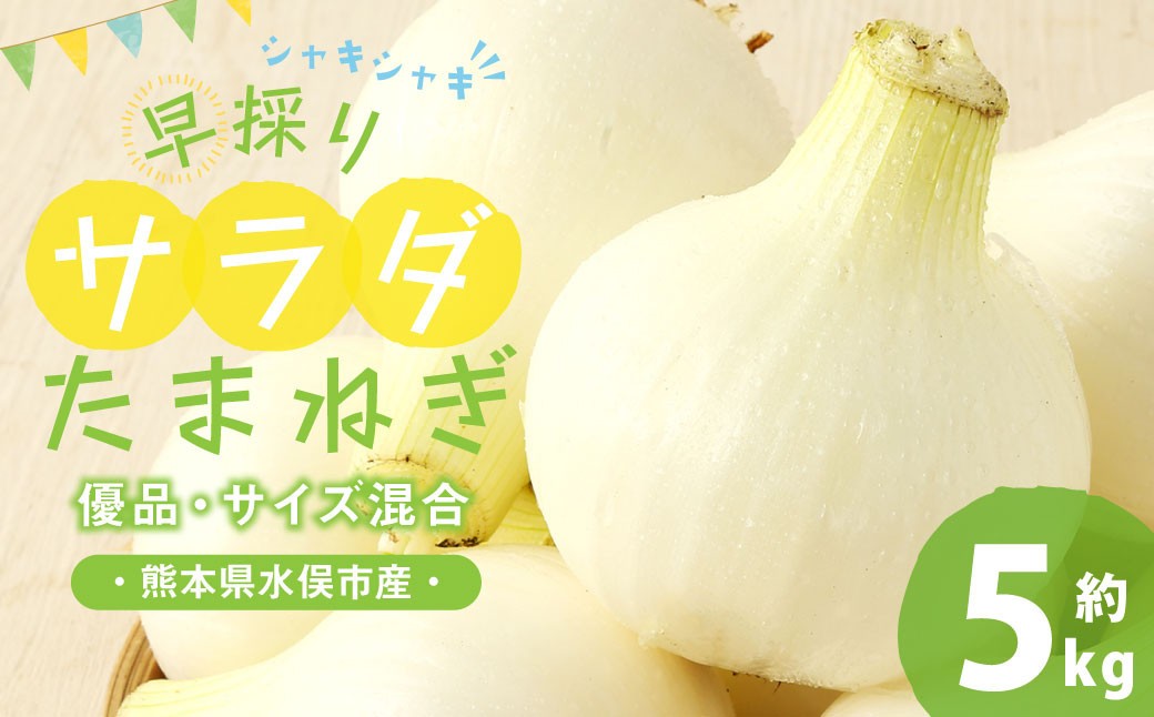 【熊本県水俣市ふるさと納税】1年に1度だけの甘さ！2027年産「早採りサラダ玉ねぎ」の受付を開始