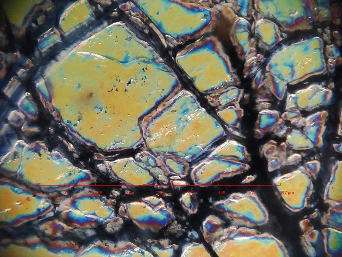 撮影例(岩石薄片)