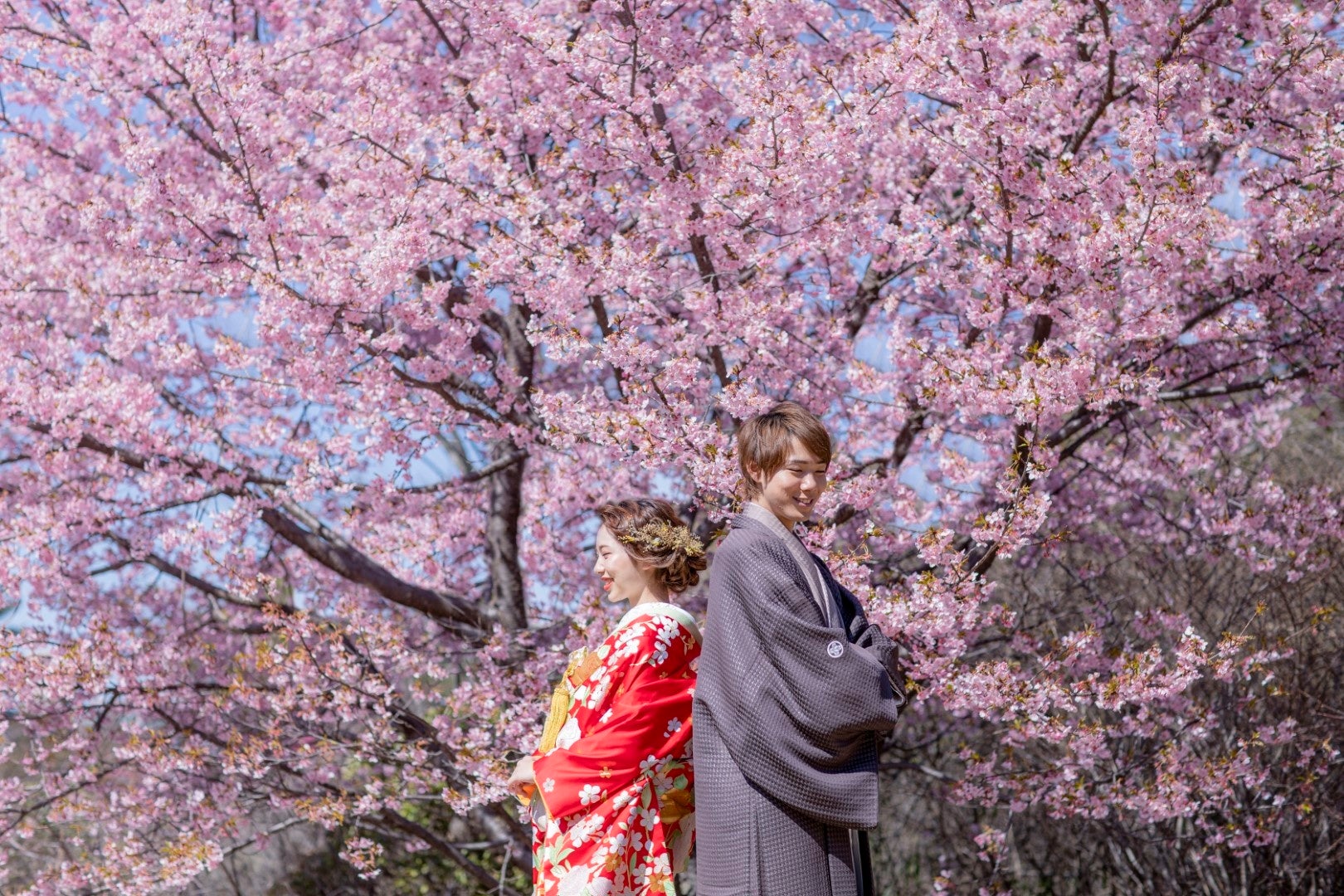 河津桜と撮影できる『昭和記念公園ロケーションプラン』期間限定キャンペーンを実施