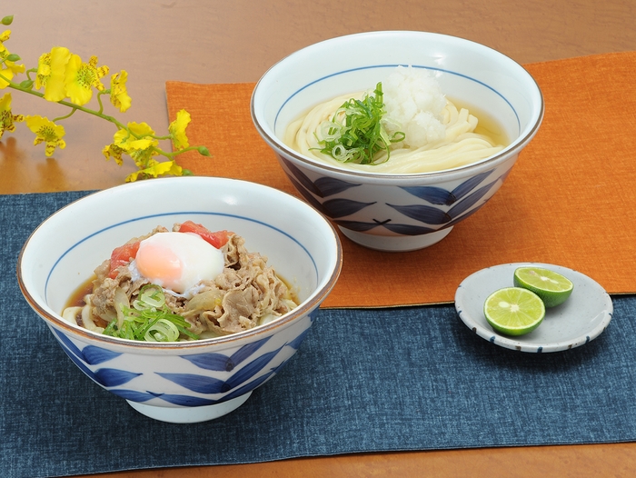 牛肉ぶっかけ すだちおろしひやかけ