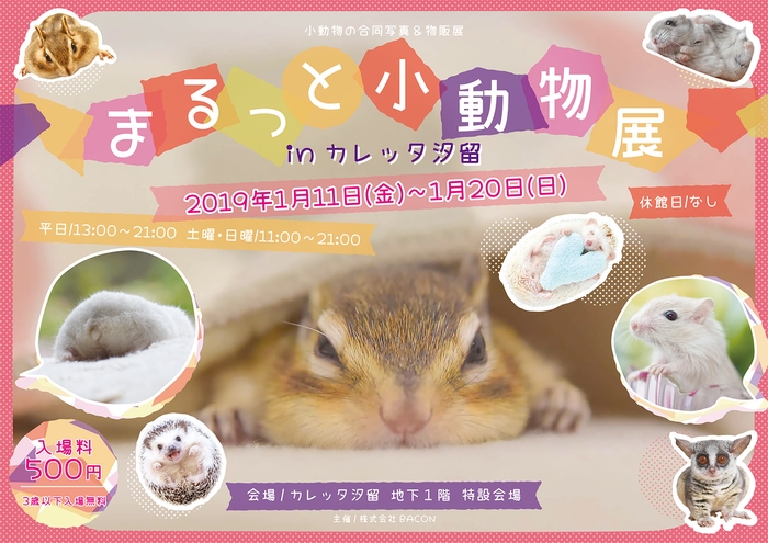 キービジュアル(横)