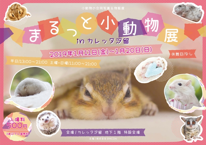 キービジュアル(横)