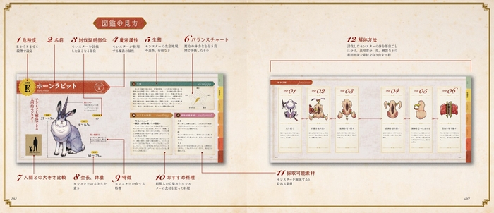 図鑑の見方