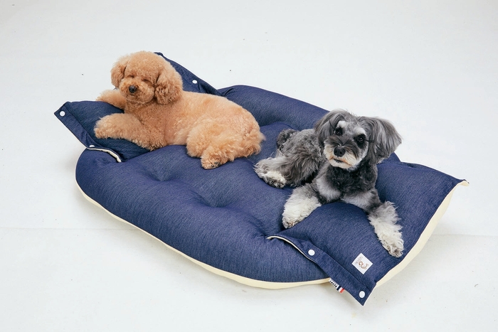 2匹でもゆったり!