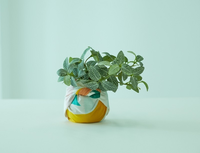 kenema+ イメージ_15