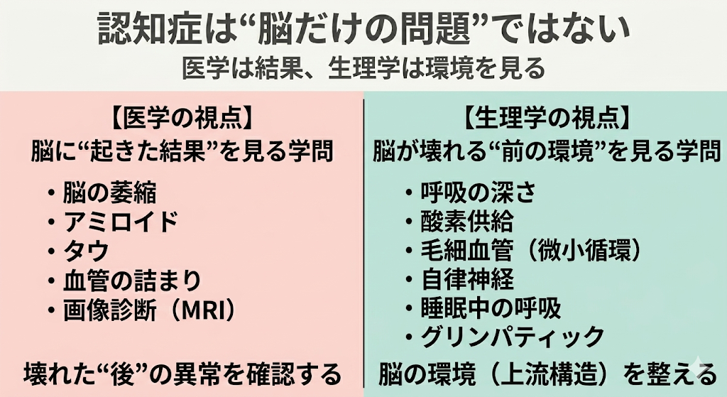 ?認知症は"脳だけの問題"ではない──医学が扱えない「脳の環境」に注目する新しい視点