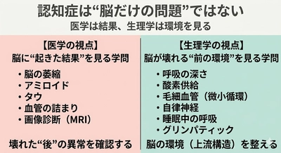 🟥認知症は"脳だけの問題"ではない──医学が扱えない「脳の環境」に注目する新しい視点