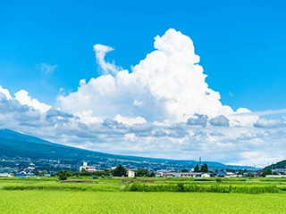 全体の４人に１人が移住意向あり 移住にはゆったりした暮らしを求める傾向 働き先や日常生活の快適さが課題か