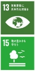 阪急交通社「富士山麓における環境保全活動」 第2回「JATA SDGs アワード」 地球環境部門 奨励賞 受賞