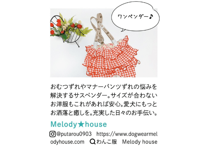 いぬのきもち2月号掲載記事