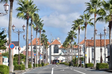 都心から80分の館山市で、人材育成と地域連携による ワーケーション受入環境づくりを推進　 「BLUE TATEYAMA WORKATION」を牽引する 3つの地域連携プロジェクト