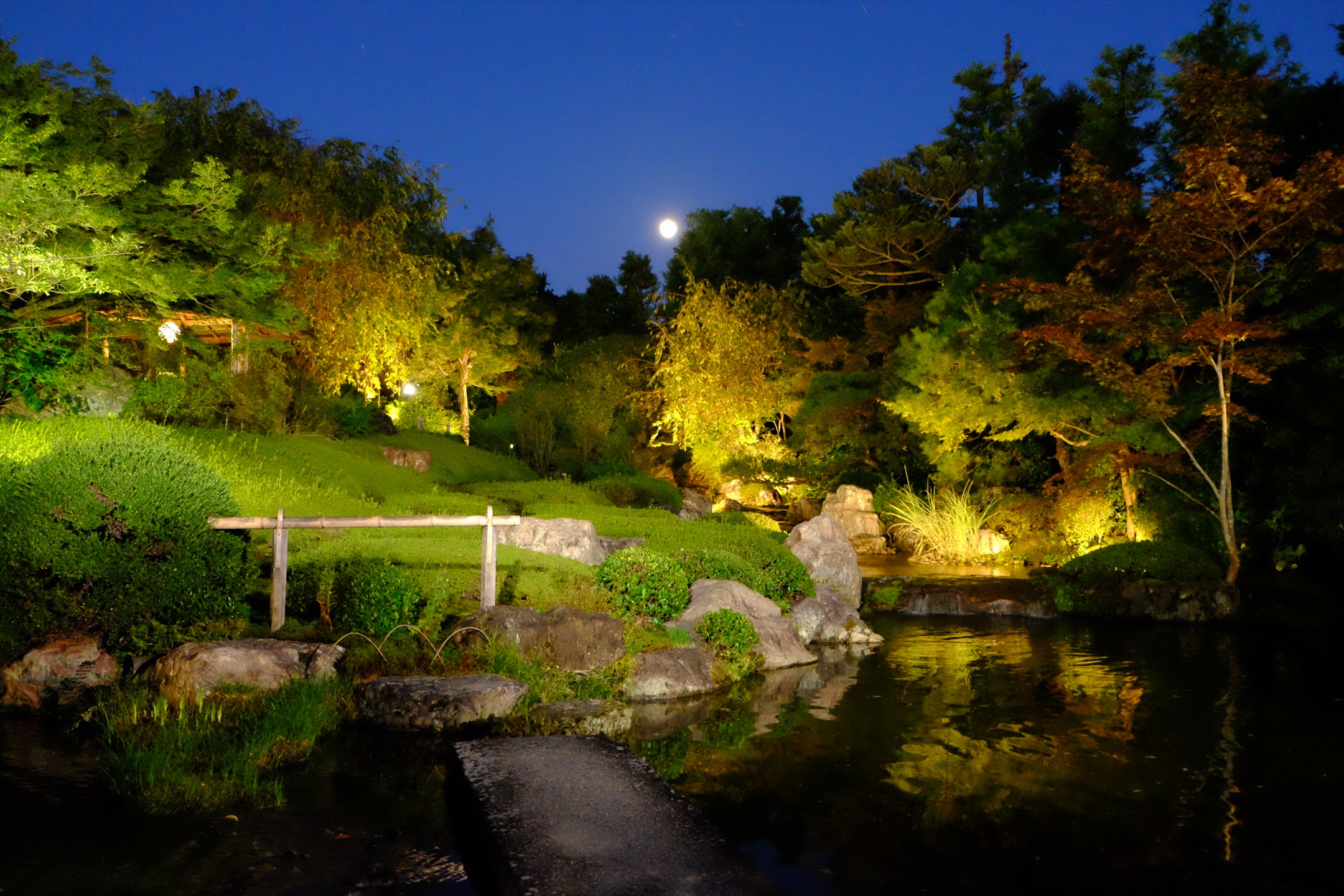 星のや京都】夜の妙心寺退蔵院を貸し切り！月夜に照らされる紅葉を