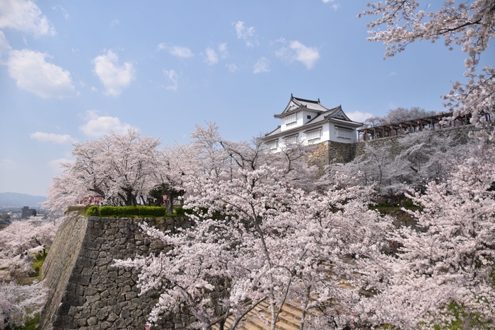 津山城・鶴山公園