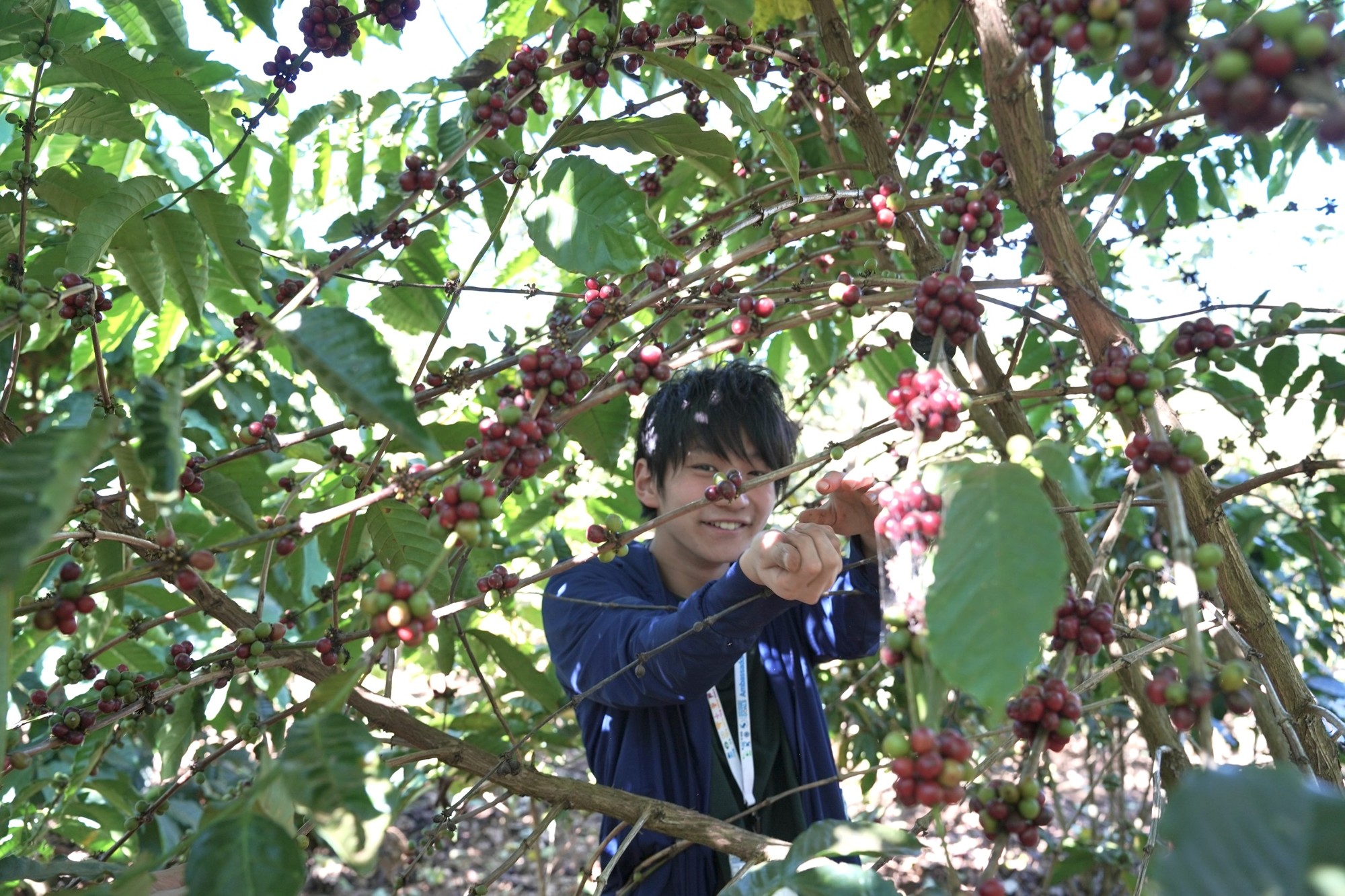 ラオスの農家とつながるダイレクトトレードコーヒーカフェ「LAOSIA COFFEE SENGOKU」クラウドファンディング開始