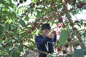 ラオスの農家とつながるダイレクトトレードコーヒーカフェ「LAOSIA COFFEE SENGOKU」クラウドファンディング開始