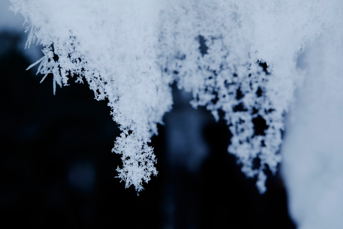 ルーペを覗いて見える雪の結晶