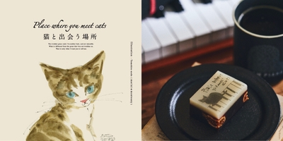 Place where you meet cats ~猫と出会う場所2024~