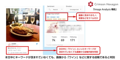 Crimson HexagonのImage Analysis機能による画像解析イメージ