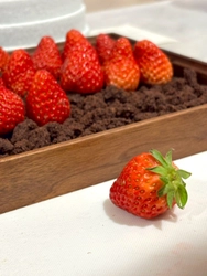 【Pluie d’été 6周年記念】“苺狩り体験”をテーマにした 限定コースを3月19日より期間限定提供