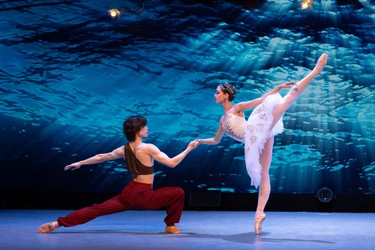 6月13日、14日出演キャストコメントが到着！
PASONA Awaji World Ballet『Pirates 〜海賊と浦島太郎 竜宮城への航海〜』
兵庫県・淡路島 旧アソンブレホールにて開幕