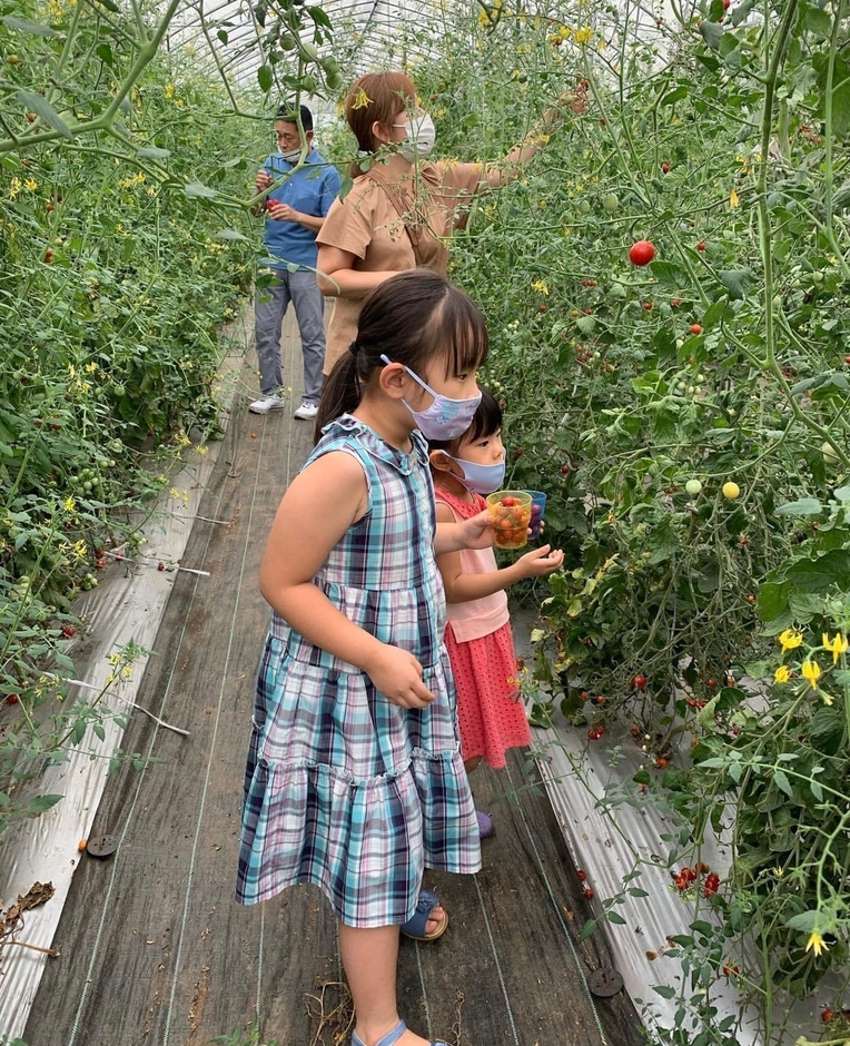 (例)10,000円／観光農園ファミリーチケット