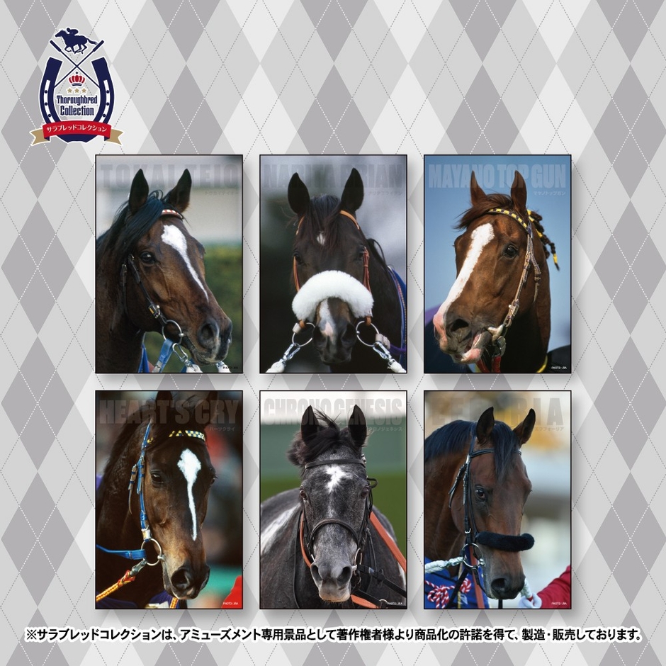 ▲オリジナルポストカード(全6種)