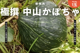 ホクホク食感と豊かな甘みが魅力　栃木県の希少なブランド野菜
「中山かぼちゃ」をＪＡタウンで販売開始！