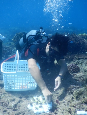ポストコロナ対策と持続可能な海洋環境の形成　 沖縄県宜野湾市が海中清掃及びサンゴの保全事業開始　 ダイビング・マリンアクティビティ事業者と連携