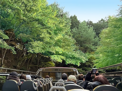 オープントップバス乗車風景