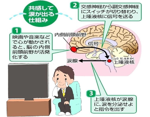 涙を流して「健康経営」に。意識的に泣く活動「涙活（るいかつ）」を提唱する感涙療法士が7月31日に東京・港区で会社員に向けてセミナー実施